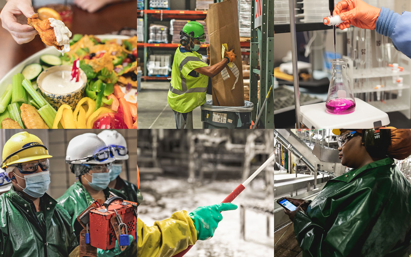 2021 | A Year to Celebrate Advancements in Food Safety and Protection