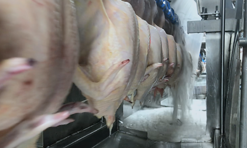 Case Study: How the MARC System Helped Significantly Reduce Water Usage